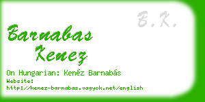 barnabas kenez business card